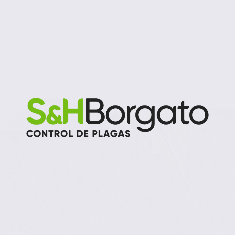(c) Syhborgato.com.ar